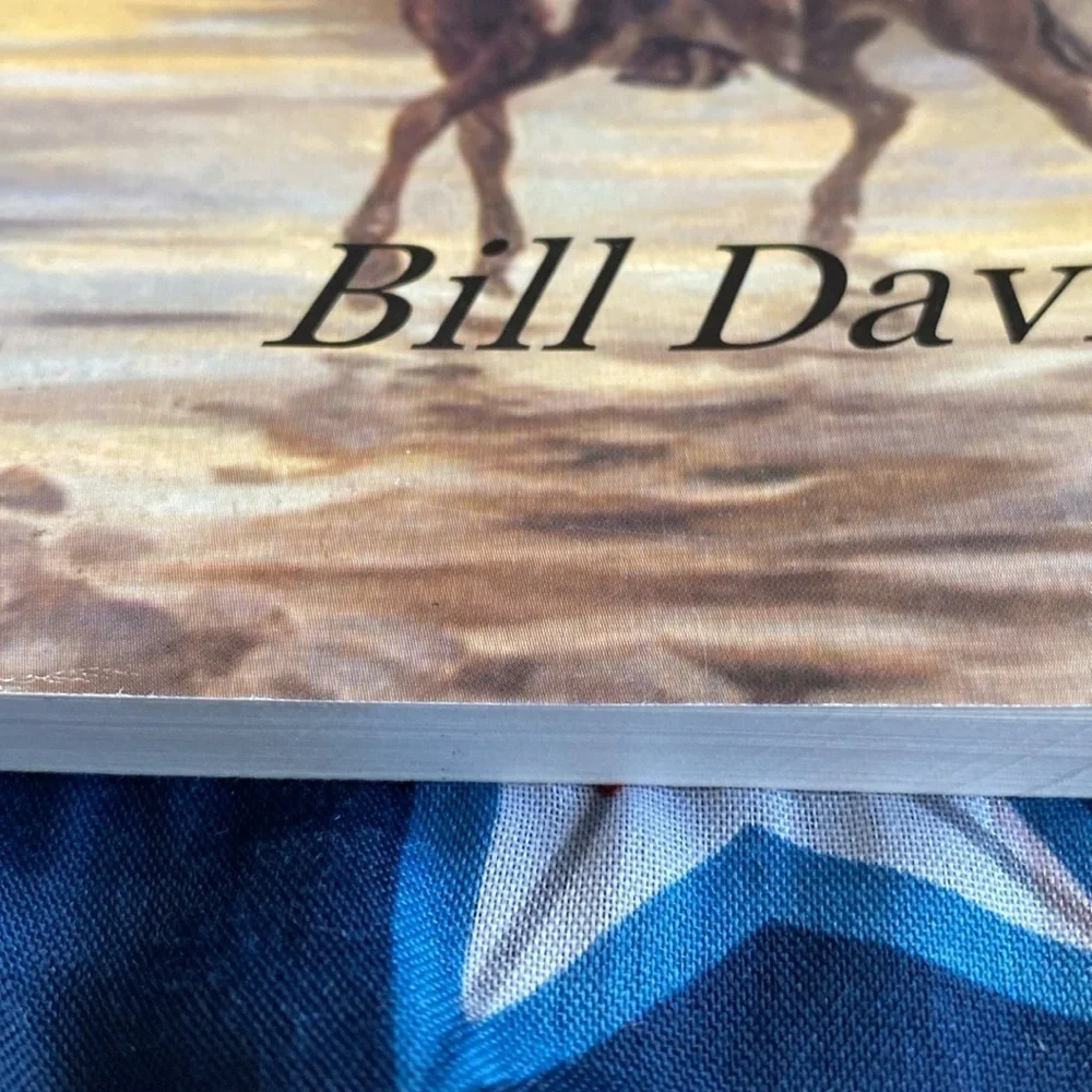 Shadow Man by Bill Davis Paperback 2001 Western Mystery Fiction Novel